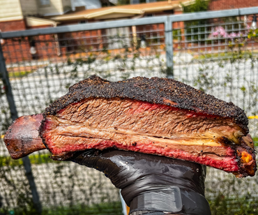 Dino Rib